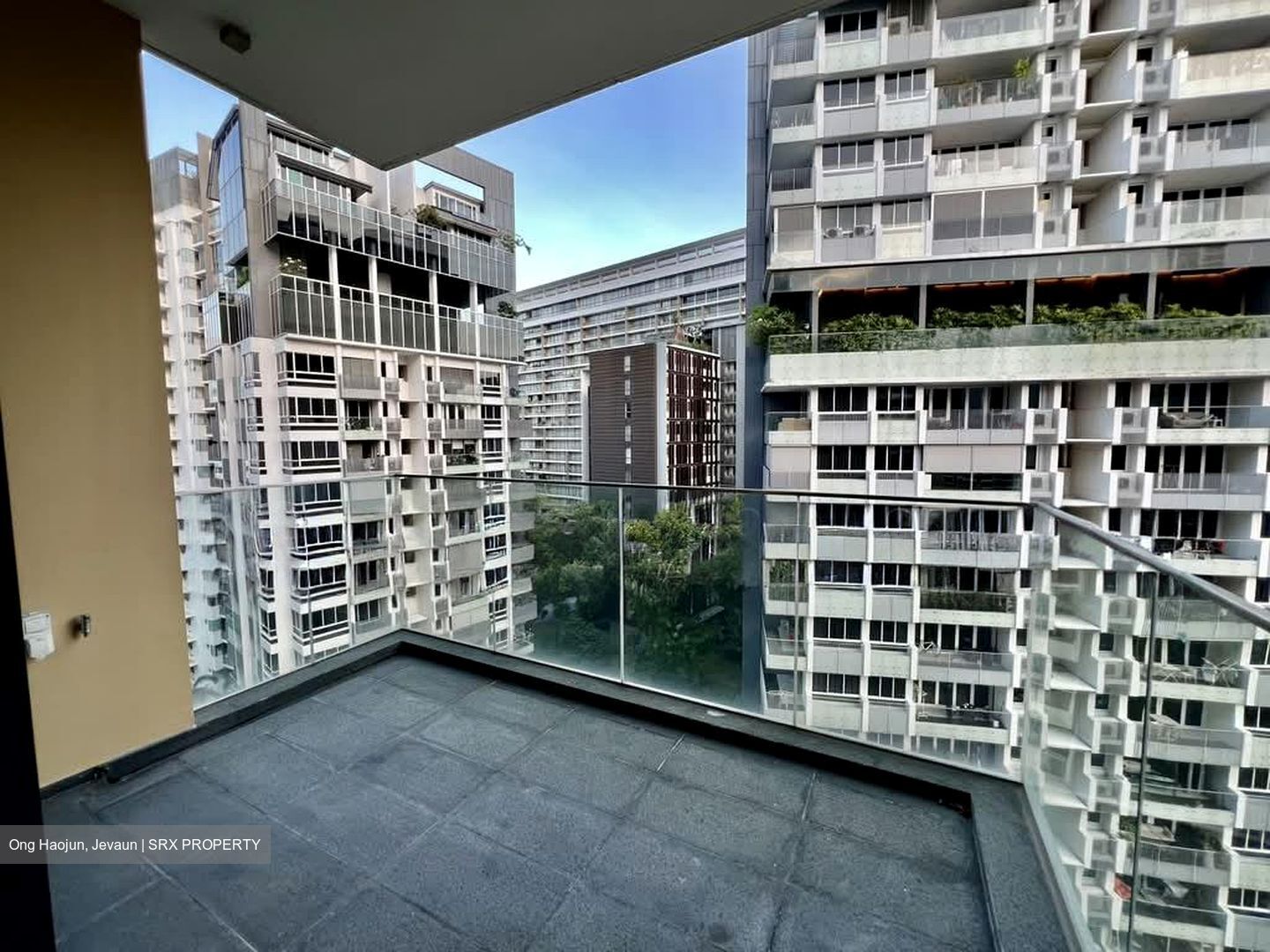 Cairnhill 16 (D9), Apartment #565080411